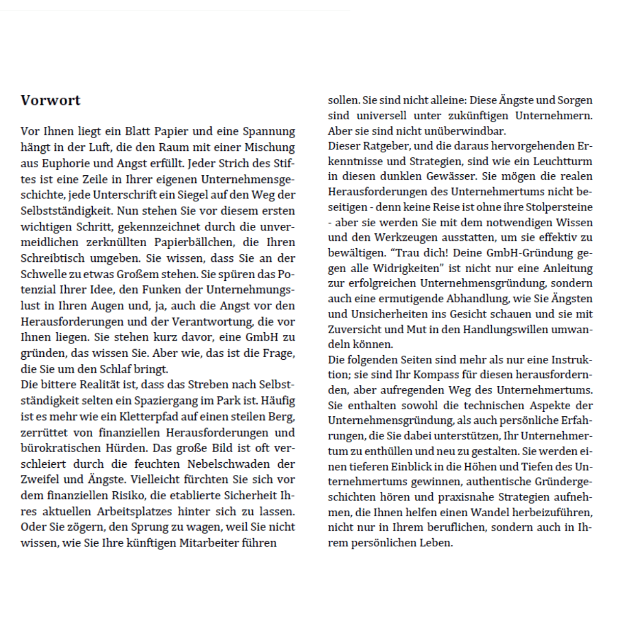 Trau dich! Deine GmbH-Gründung gegen alle Widrigkeiten || Kein Kapital, wenig Einkommen, trotz Schulden 7 Innenansicht des Buches – GmbH-Gründung trotz Schulden