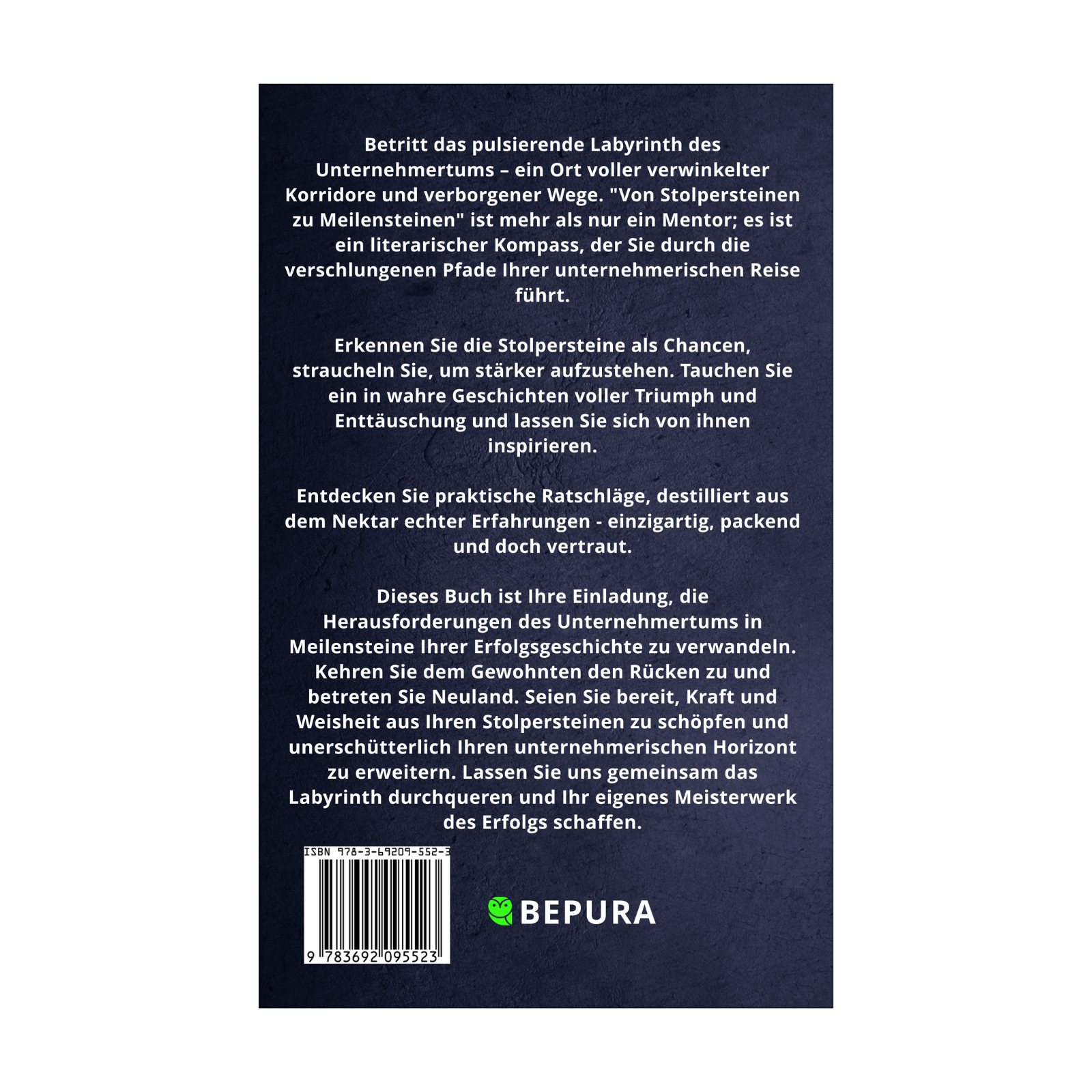Von Stolpersteinen zu Meilensteinen || Eine Reise durch das Labyrinth des Unternehmertums 2 Von Stolpersteinen zu Meilensteinen Rückseite