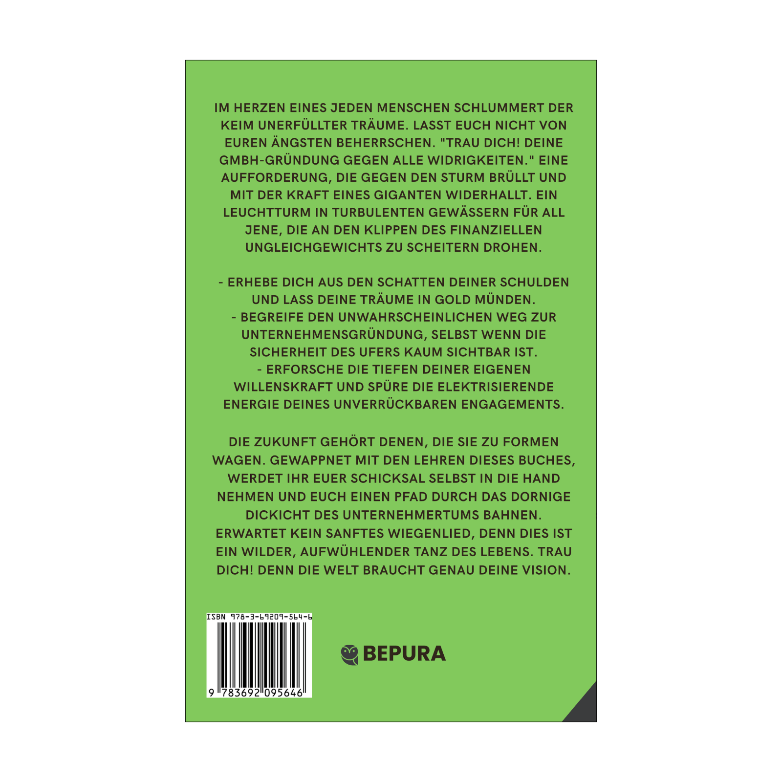 Trau dich! Deine GmbH-Gründung gegen alle Widrigkeiten || Kein Kapital, wenig Einkommen, trotz Schulden 2 Trau dich! Rückseite