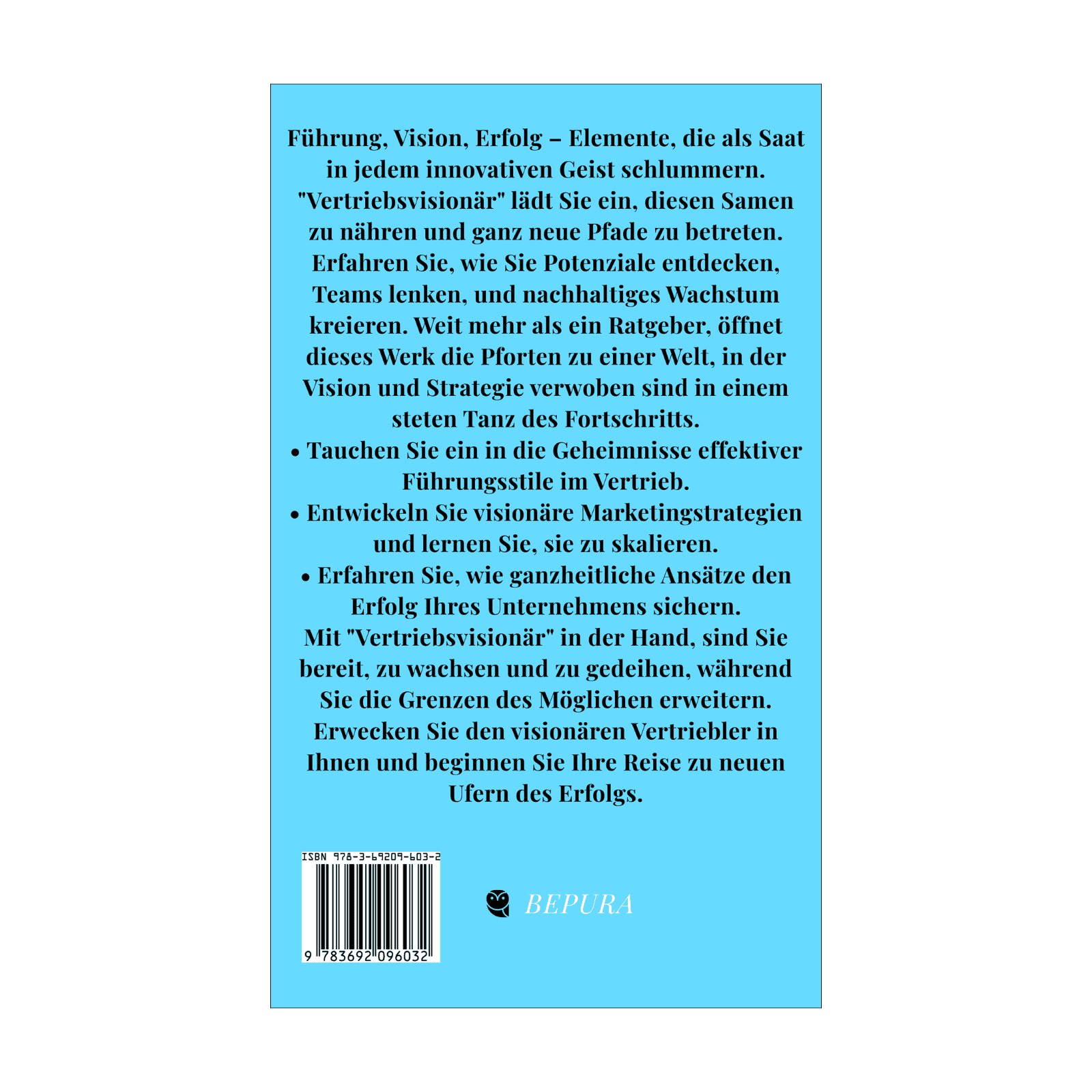 Vertriebsvisionär || Wie Sie Ihre Verkaufsteams führen, Marketingstrategien skalieren und den Erfolg Ihres Unternehmens sicherstellen 2 Vertriebsvisionär Rückseite