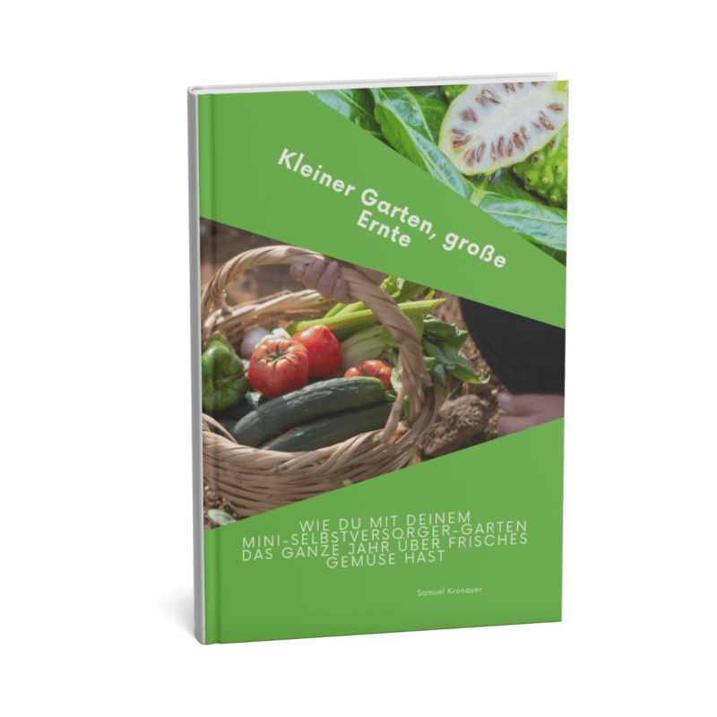 Kleiner Garten, große Ernte