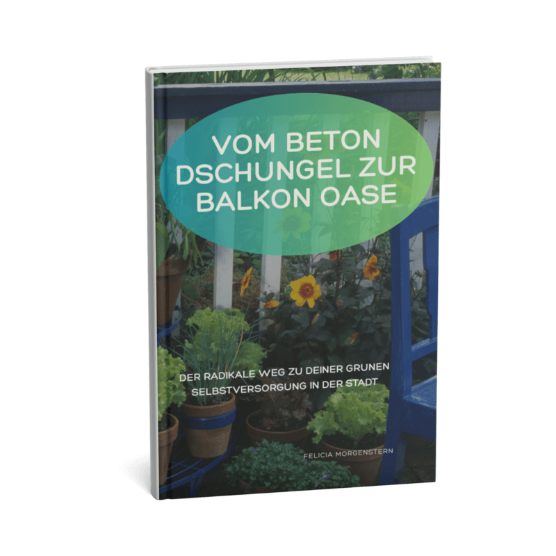 Vom Beton-Dschungel zur Balkon-Oase
