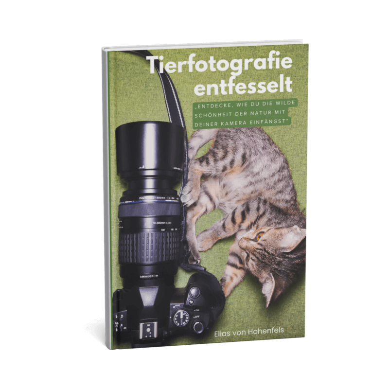 Tierfotografie entfesselt