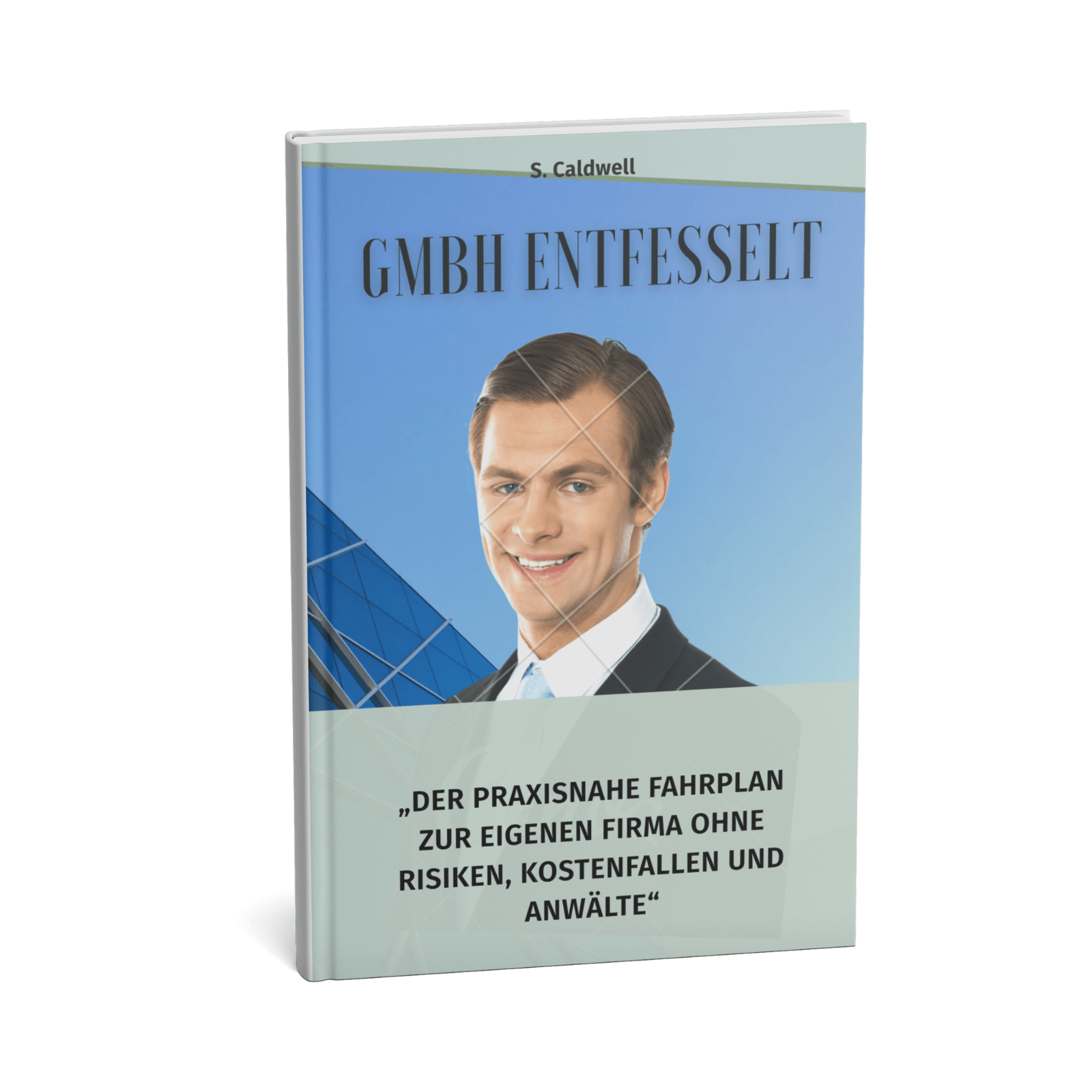 GmbH entfesselt - Der praxisnahe Fahrplan zur eigenen Firma ohne Risiken, Kostenfallen und Anwälte 1 GmbH entfesselt