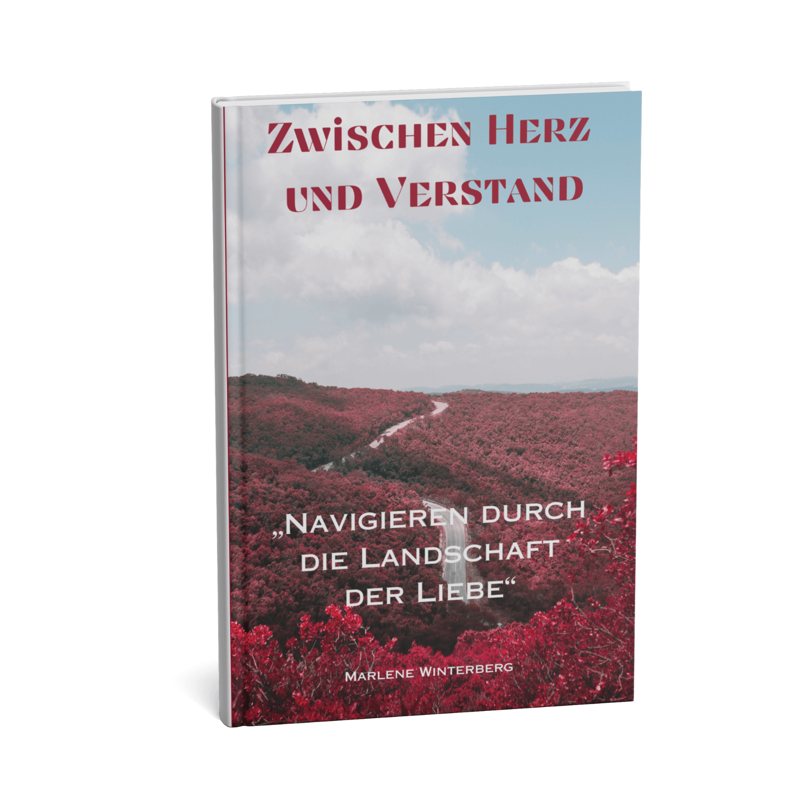 Zwischen Herz und Verstand || Navigieren durch die Landschaft der Liebe 3 Zwischen Herz und Verstand – Cover