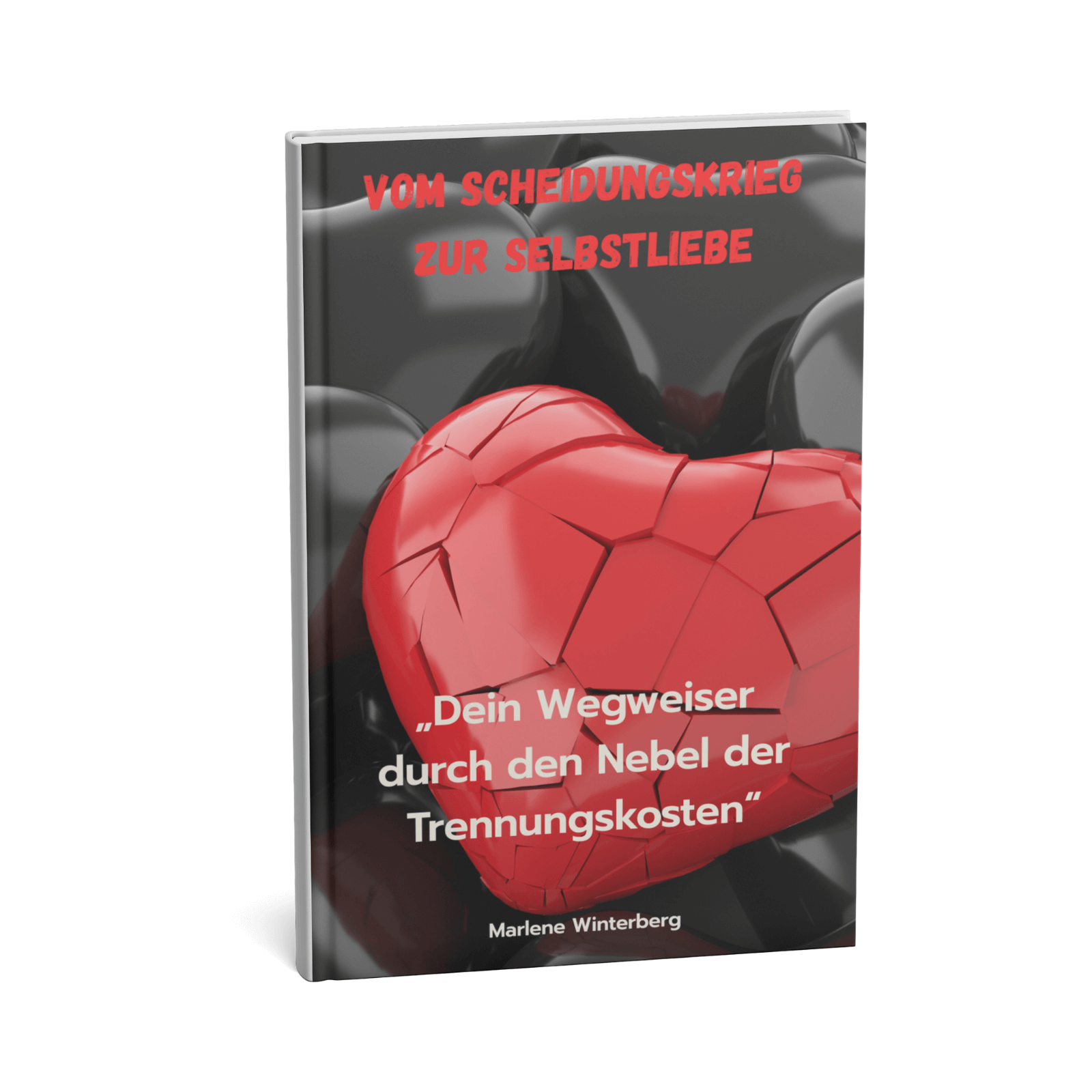 Vom Scheidungskrieg zur Selbstliebe || Dein Wegweiser durch den Nebel der Trennungskosten 3 Vom Scheidungskrieg zur Selbstliebe – Dein Wegweiser durch den Nebel der Trennungskosten