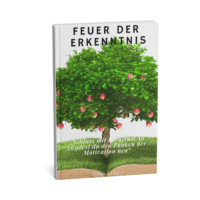 Feuer der Erkenntnis