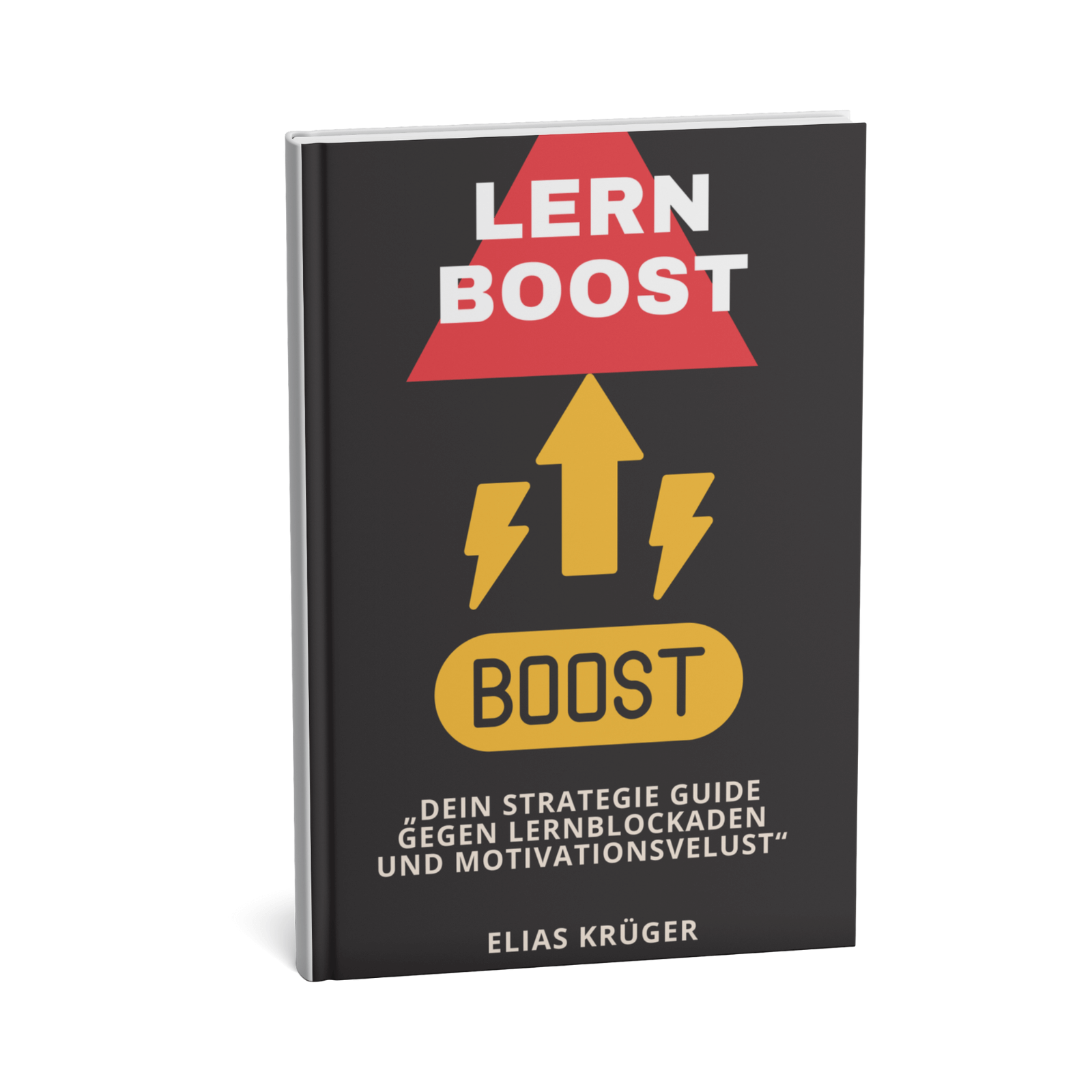 Lern Boost - Dein Strategie Guide gegen Lernblockaden und Motivationsverlust 1 LernBoost