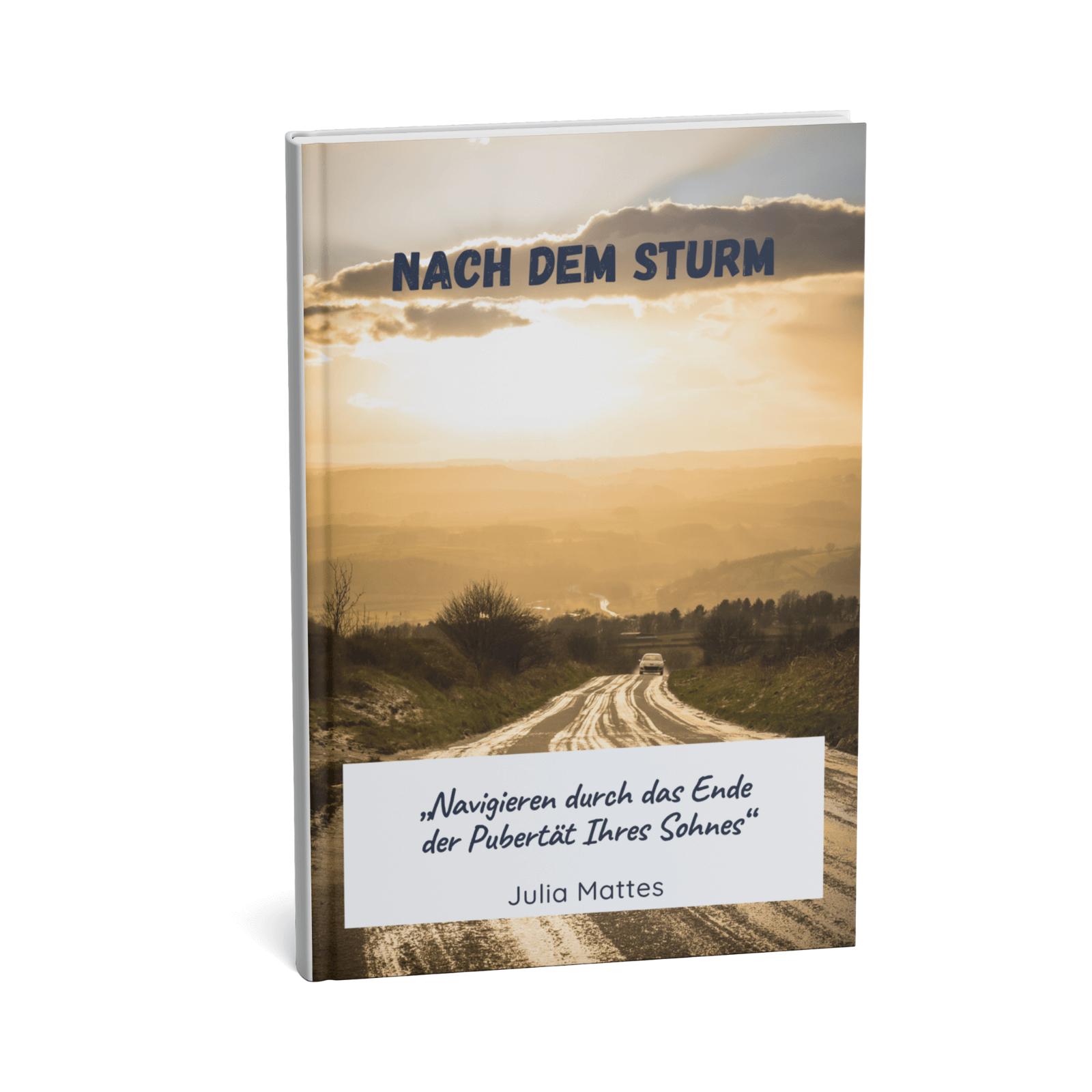 Nach dem Sturm - Navigieren durch das Ende der Pubertät Ihres Sohnes 1 Nach dem Sturm