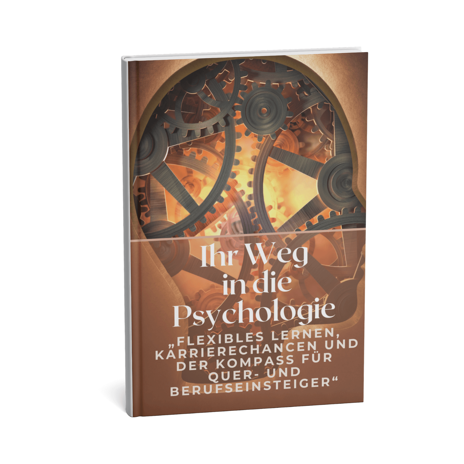 Ihr Weg in die Psychologie - Flexibles Lernen, Karrierechancen und der Kompass für Quer-und Berufseinsteiger 1 Ihr Weg in die Psychologie