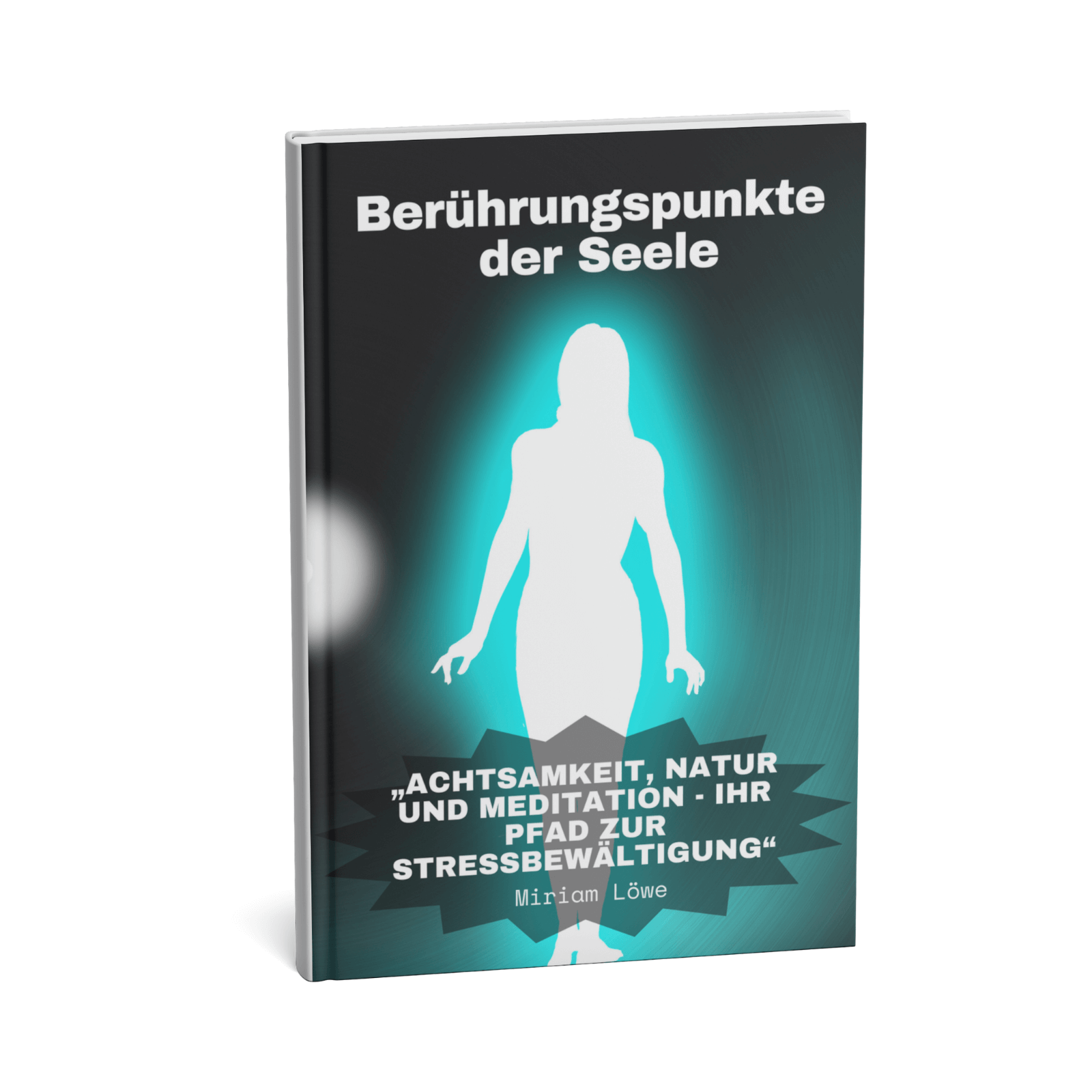 Berührungspunkte der Seele - Achtsamkeit, Natur und Meditation - Ihr Pfad zur Stressbewältigung 1 Berührungspunkte der Seele