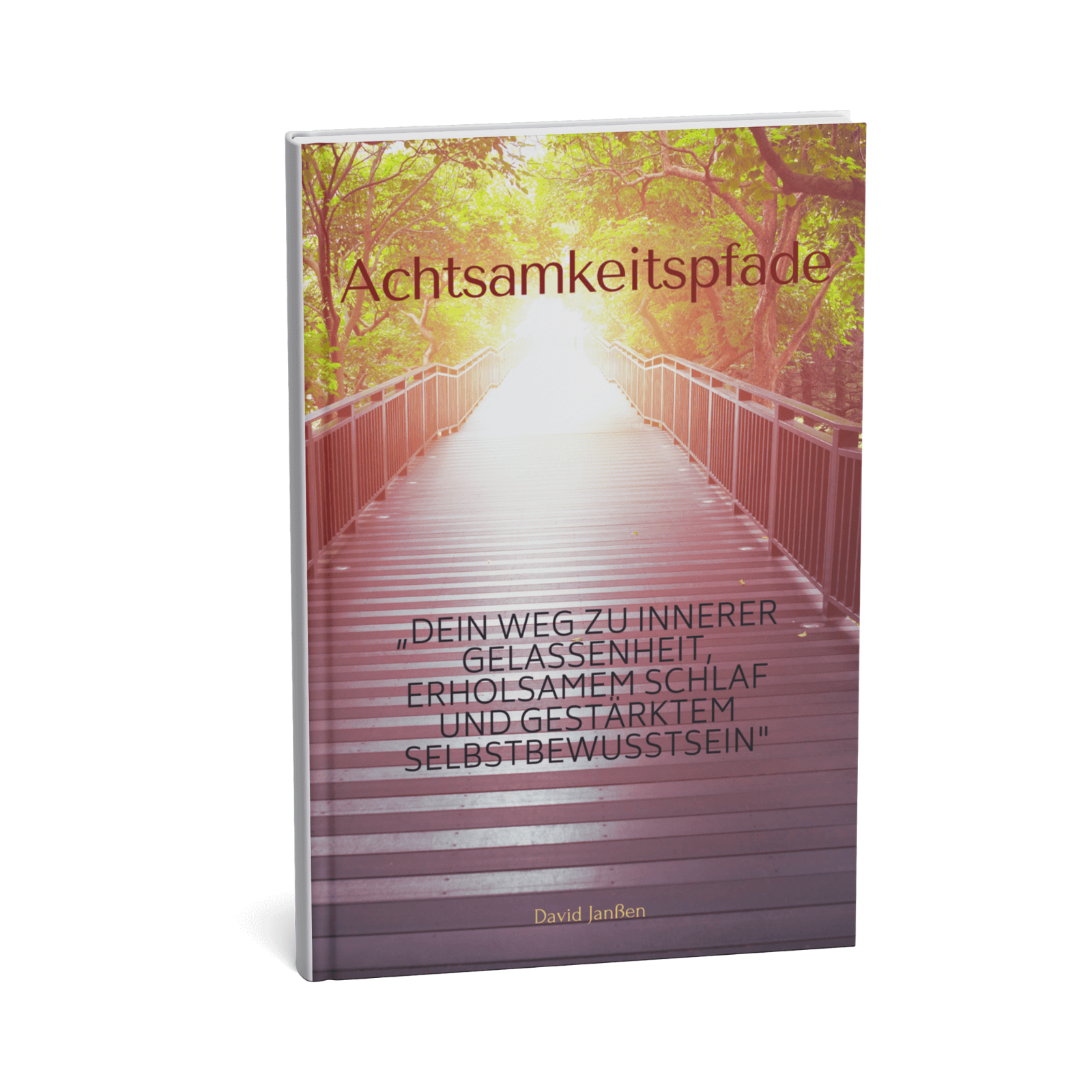 Achtsamkeitspfade - Dein Weg zu innerer Gelassenheit, erholsamem Schlaf und gestärktem Selbstbewusstsein 1 Achtsamkeitspfade