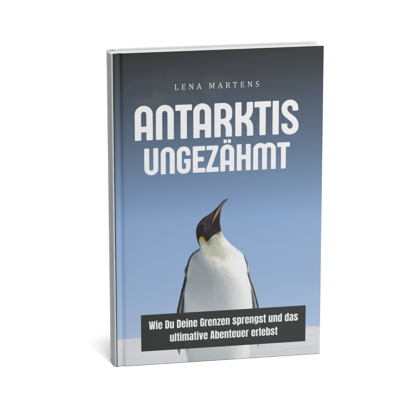 Antarktis Ungezähmt - Wie Du Deine Grenzen sprengst und das ultimative Abenteuer erlebst 1 Antarktis Ungezähmt