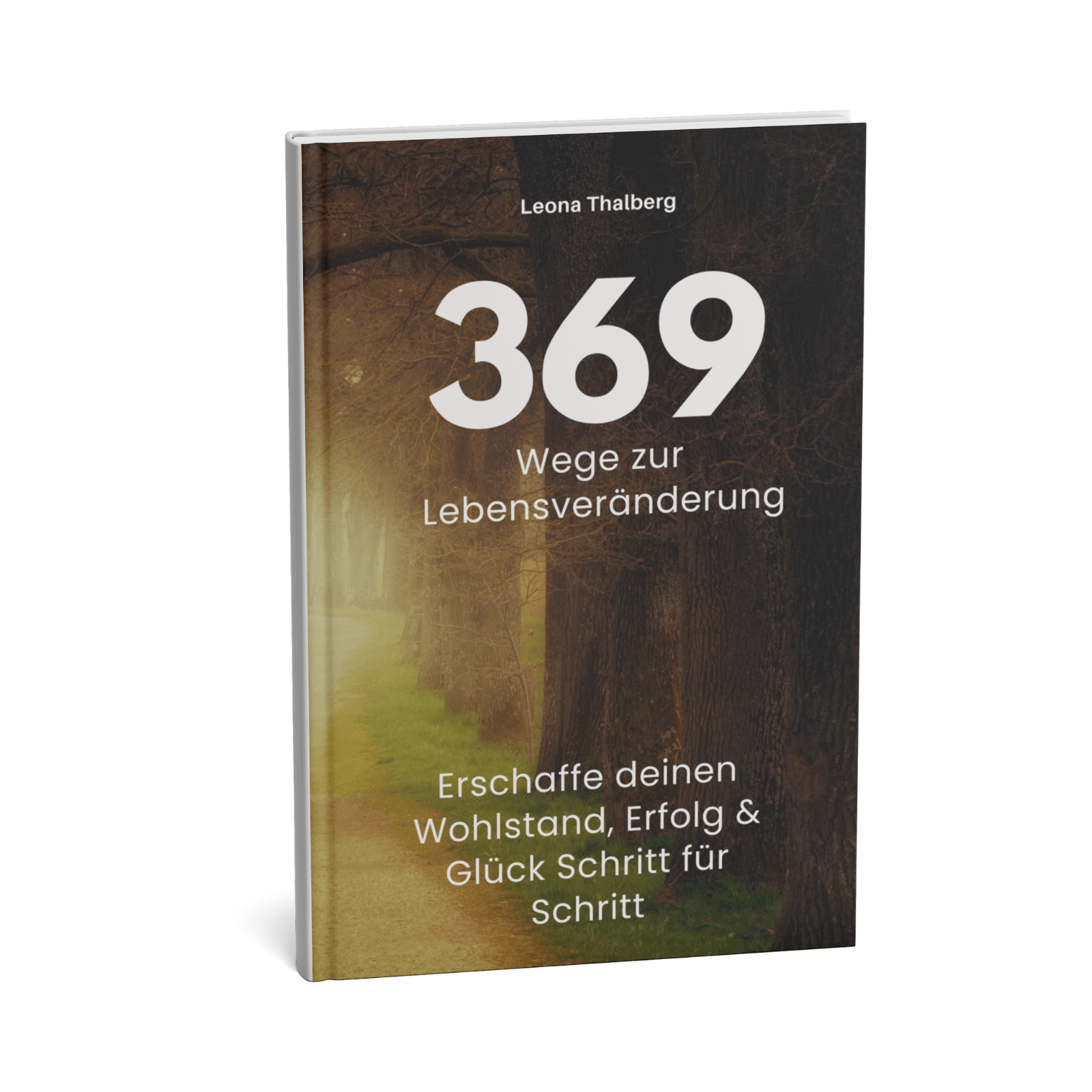 369 Wege zur Lebensveränderung - Erschaffe deinen Wohlstand, Erfolg & Glück Schritt für Schritt 1 369 Wege zur Lebensveränderung