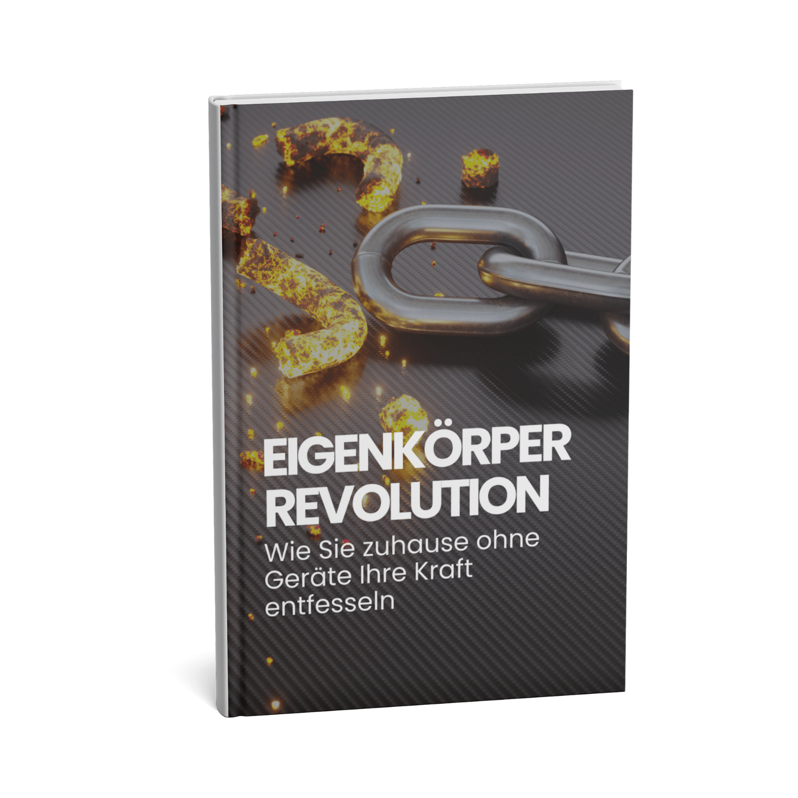 Eigenkörper Revolution - Wie Sie zuhause ohne Geräte Ihre Kraft entfesseln 1 Eigenkörper-Revolution