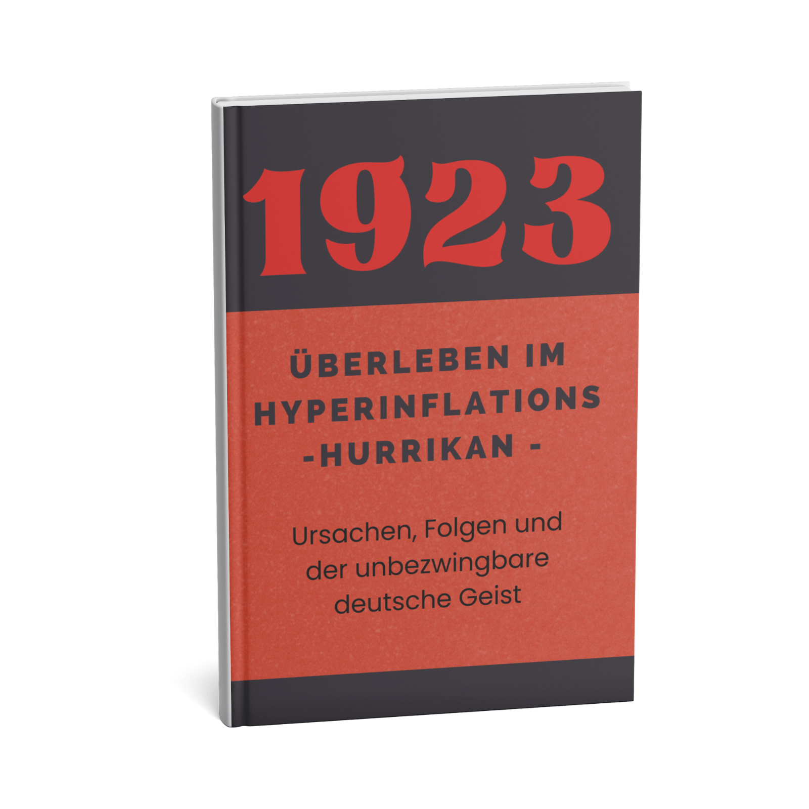 1923 - Überleben im Hyperinflations Hurrikan - Ursachen, Folgen und der unbezwingbare deutsche Geist 1 1923
