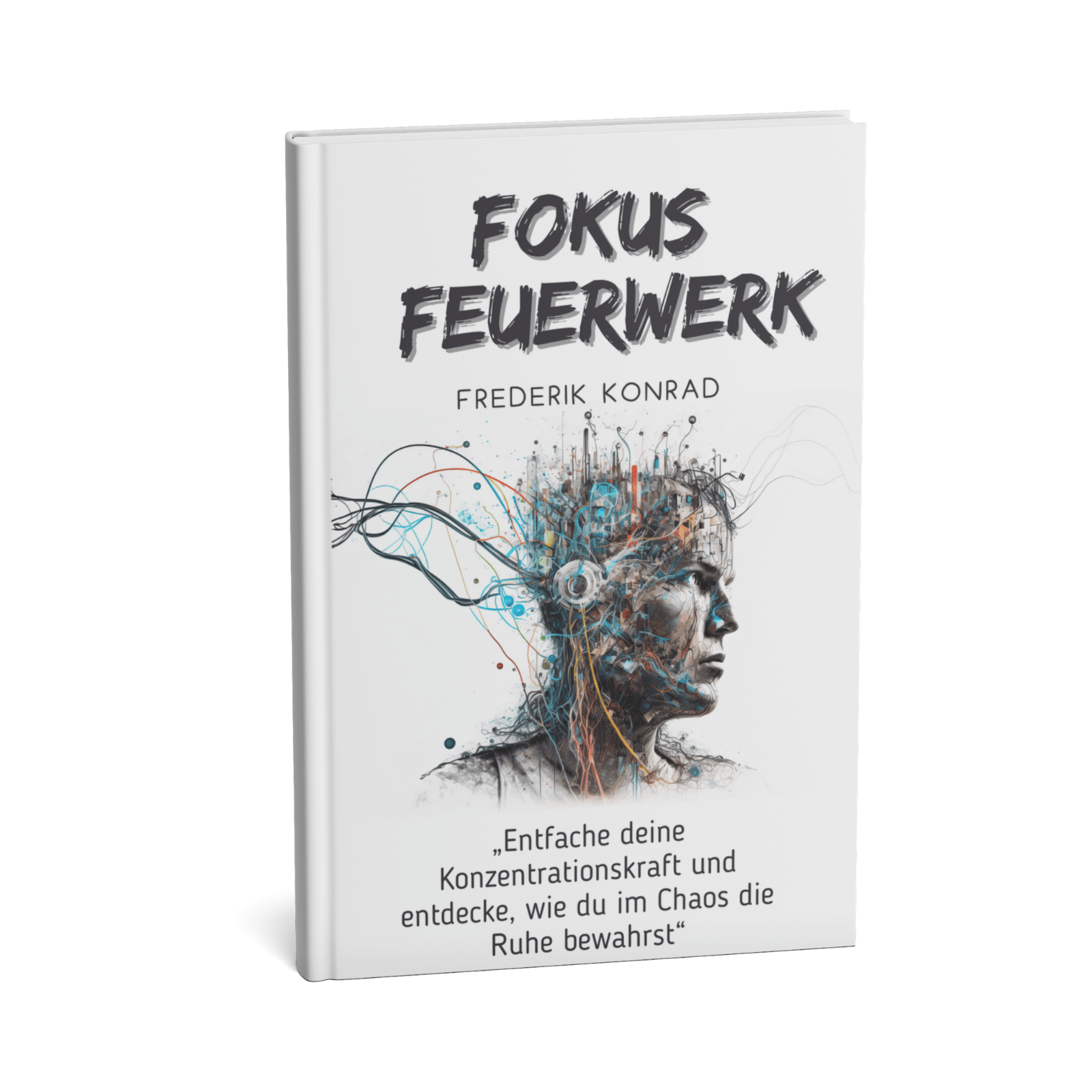 Fokus Feuerwerk - Entfache deine Konzentrationskraft und entdecke, wie du im Chaos die Ruhe bewahrst 1 Fokus Feuerwerk