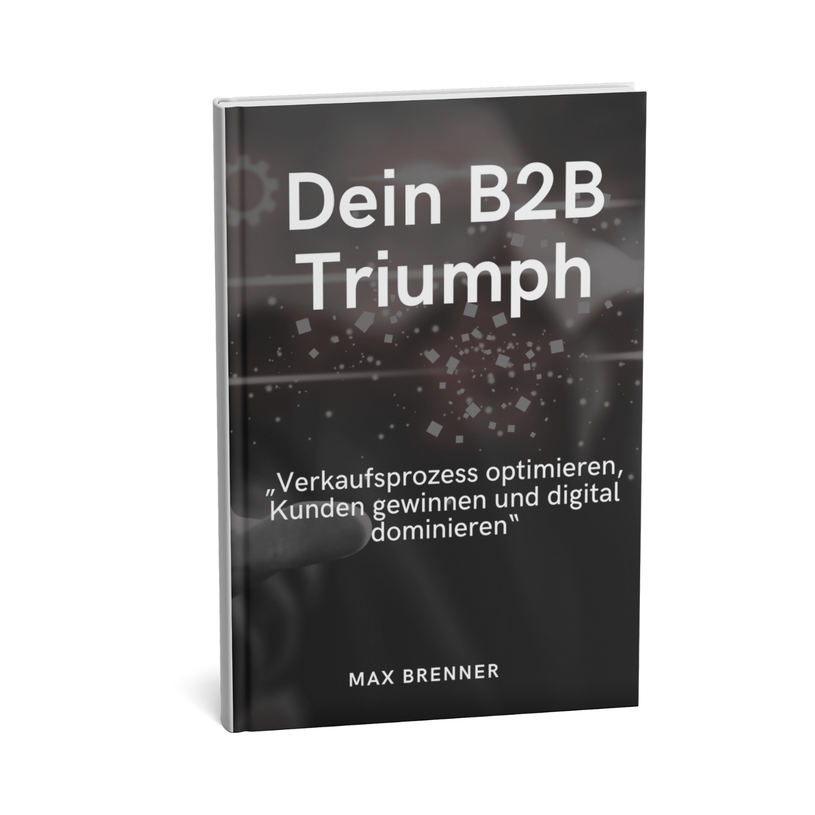 Dein B2B Triumph - Verkaufsprozess optimieren, Kunden gewinnen und digital dominieren 1 Dein B2B-Triumph