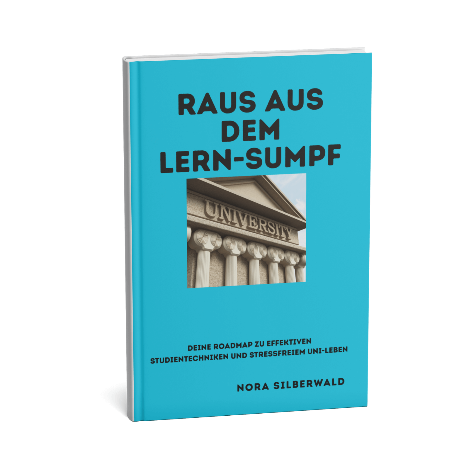 Raus aus dem Lern-Sumpf || Deine Roadmap zu effektiven Studientechniken und stressfreiem Uni-Leben 1 Raus aus dem Lern-Sumpf