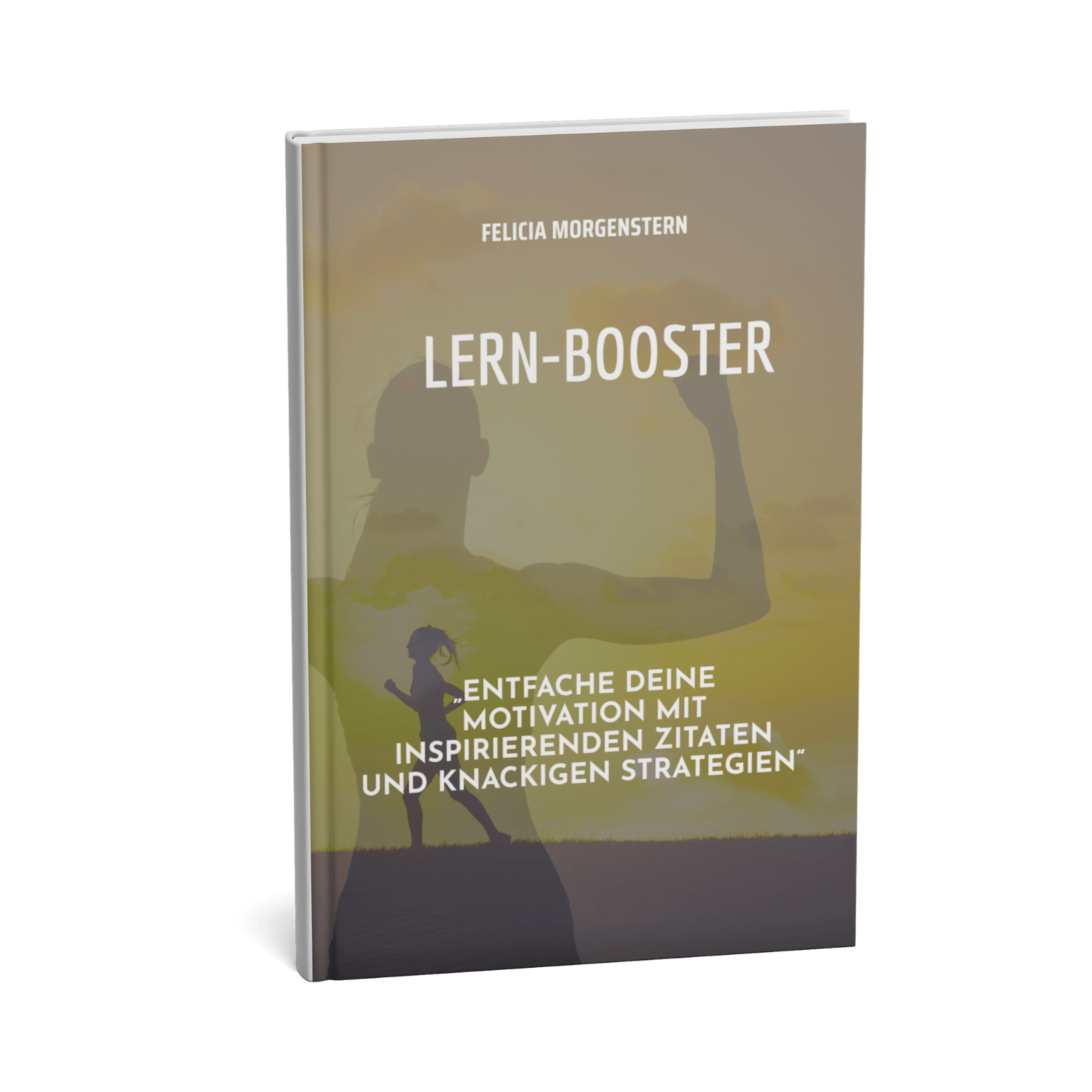 Lern-Booster || Entfache deine Motivation mit inspirierenden Zitaten und knackigen Strategien 1 Lern-Booster