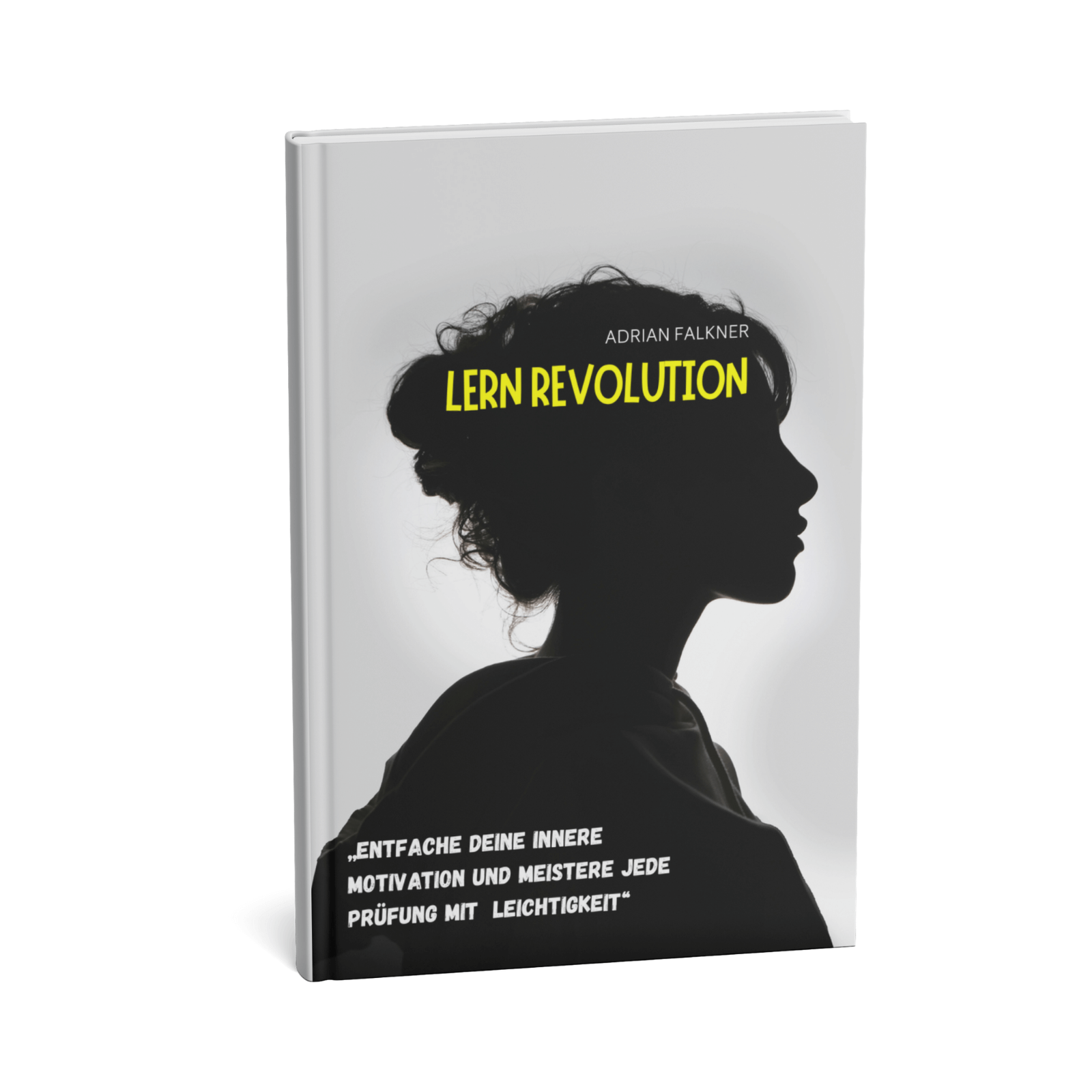 Lern-Revolution || Entfache deine innere Motivation und meistere jede Prüfung mit Leichtigkeit 1 Lern-Revolution