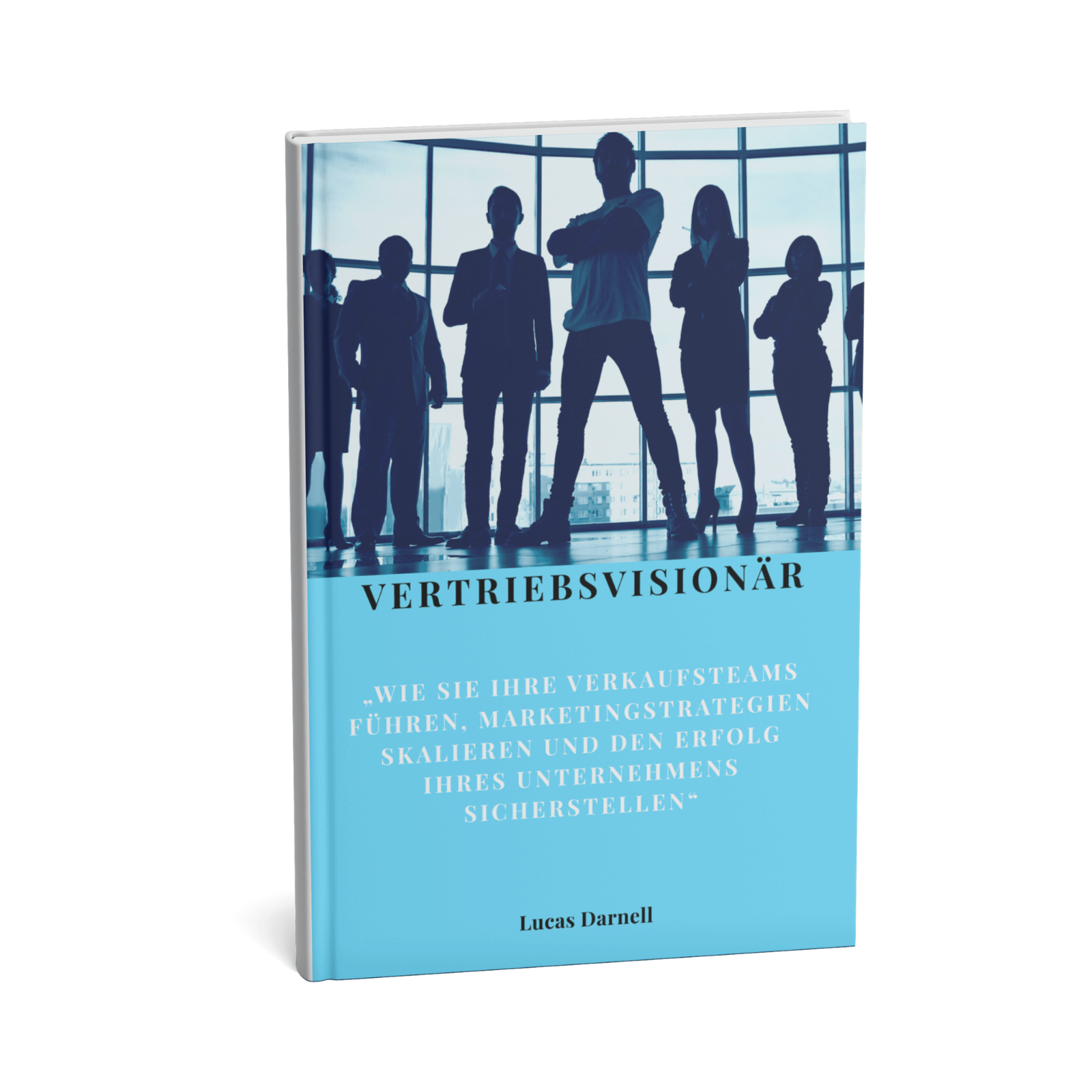 Vertriebsvisionär || Wie Sie Ihre Verkaufsteams führen, Marketingstrategien skalieren und den Erfolg Ihres Unternehmens sicherstellen 3 Vertriebsvisionär – Verkaufsteams führen & Marketing skalieren