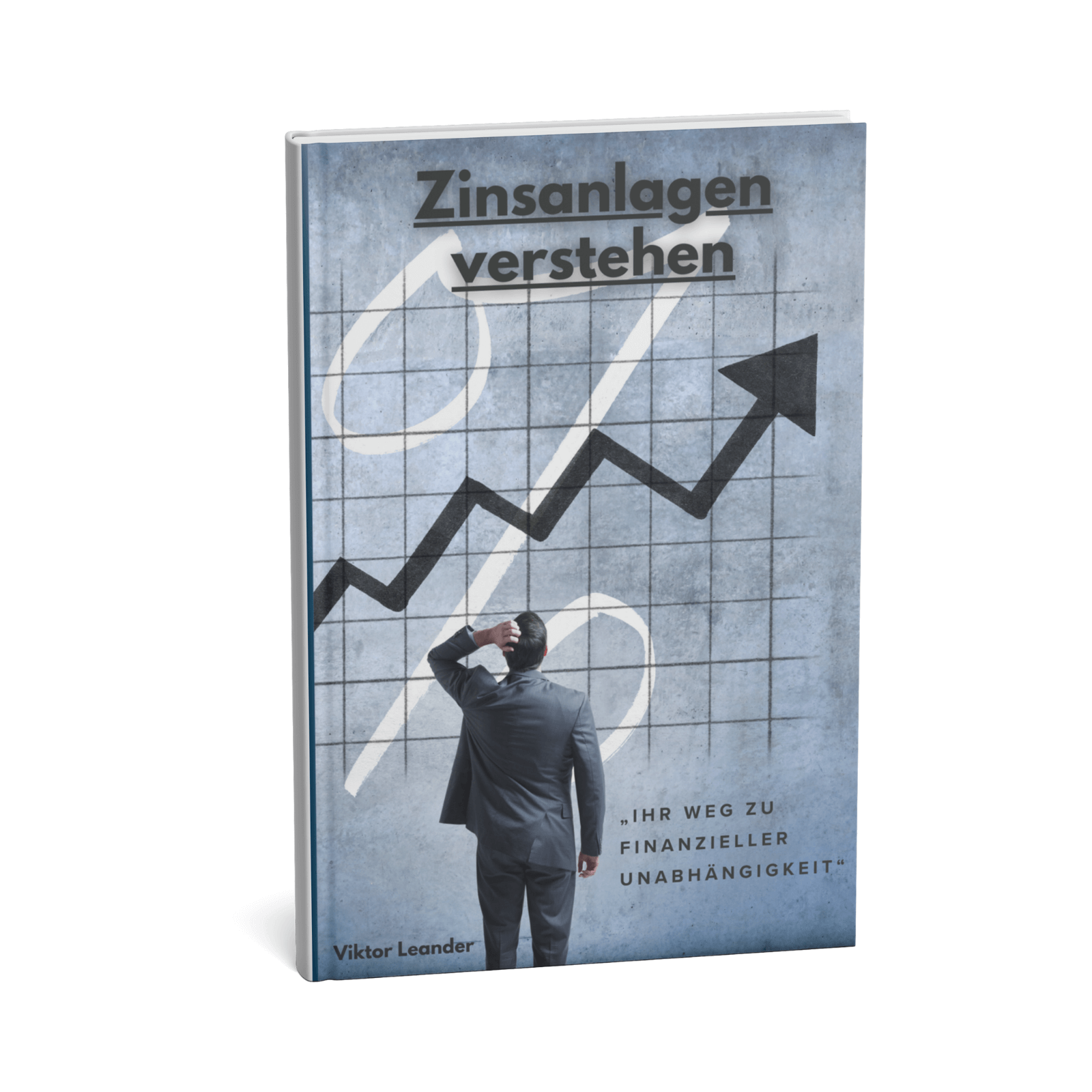 Zinsanlagen verstehen || Ihr Weg zu finanzieller Unabhängigkeit 1 Zinsanlagen verstehen