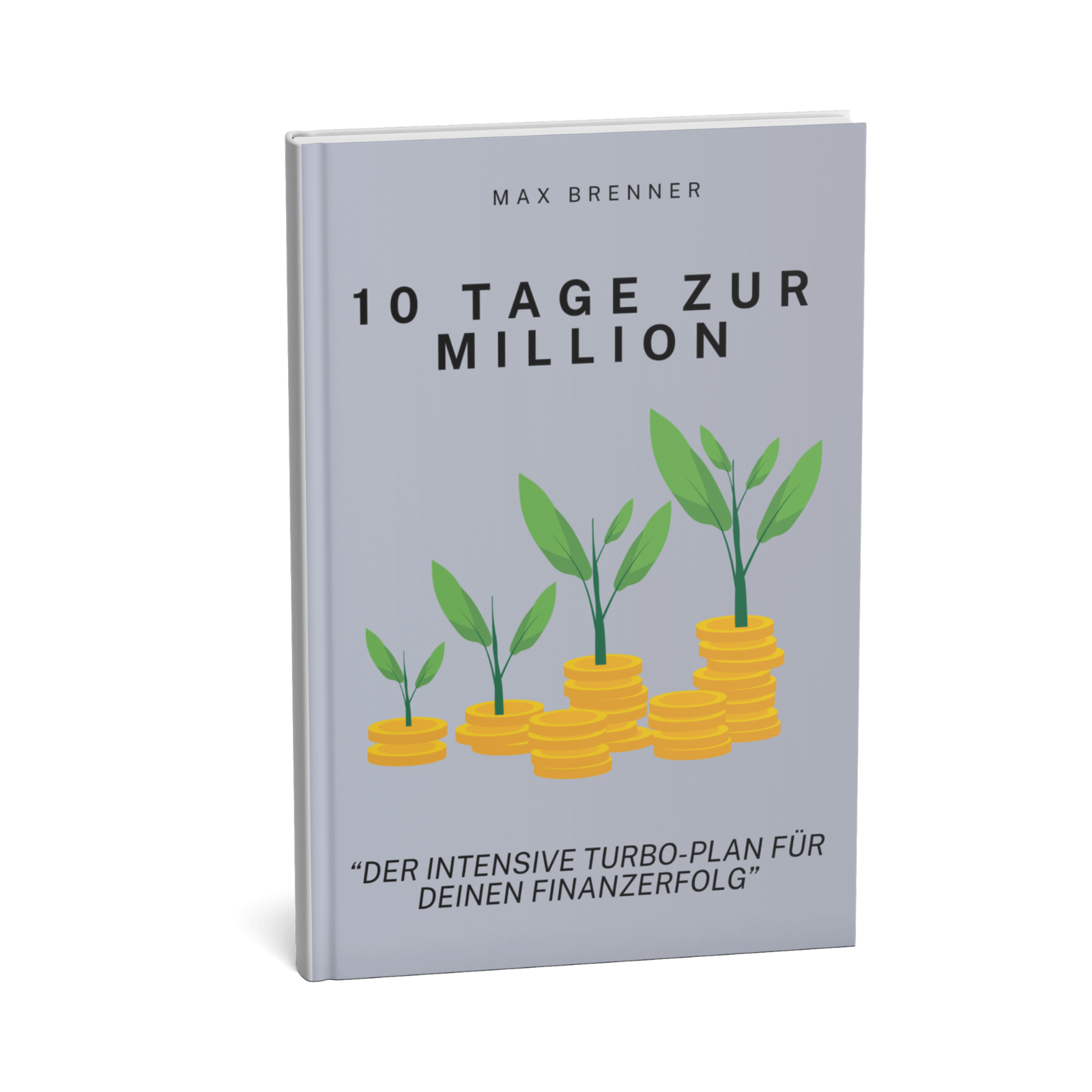 10 Tage zur Million - Der intensive Turbo-Plan für deinen Finanzerfolg 1 10 Tage zur Million