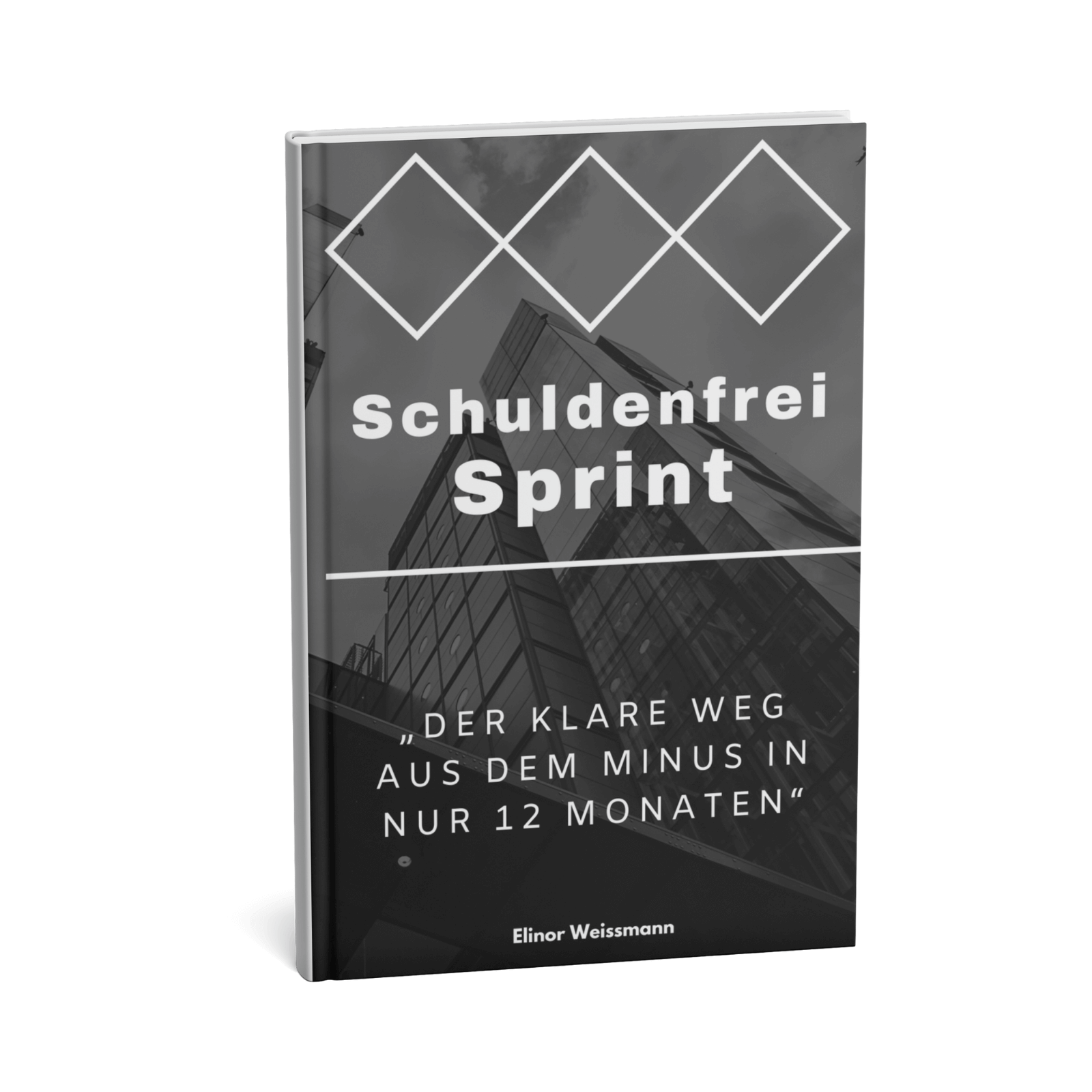 Schuldenfrei Sprint || Der Express-Weg aus der Verschuldung 1 Schuldenfrei Sprint
