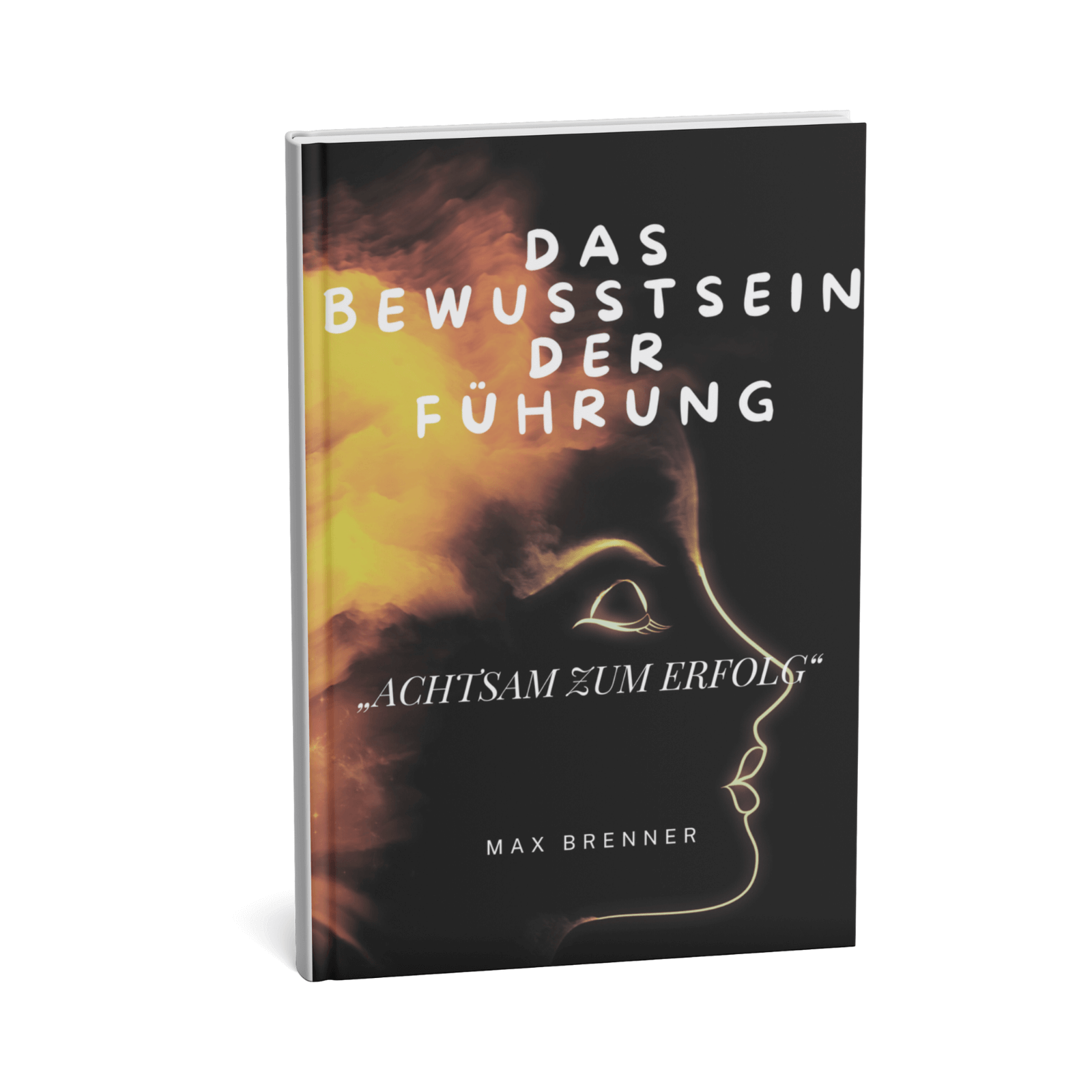 Das Bewusstsein der Führung - Achtsam zum Erfolg 1 Das Bewusstsein der Führung