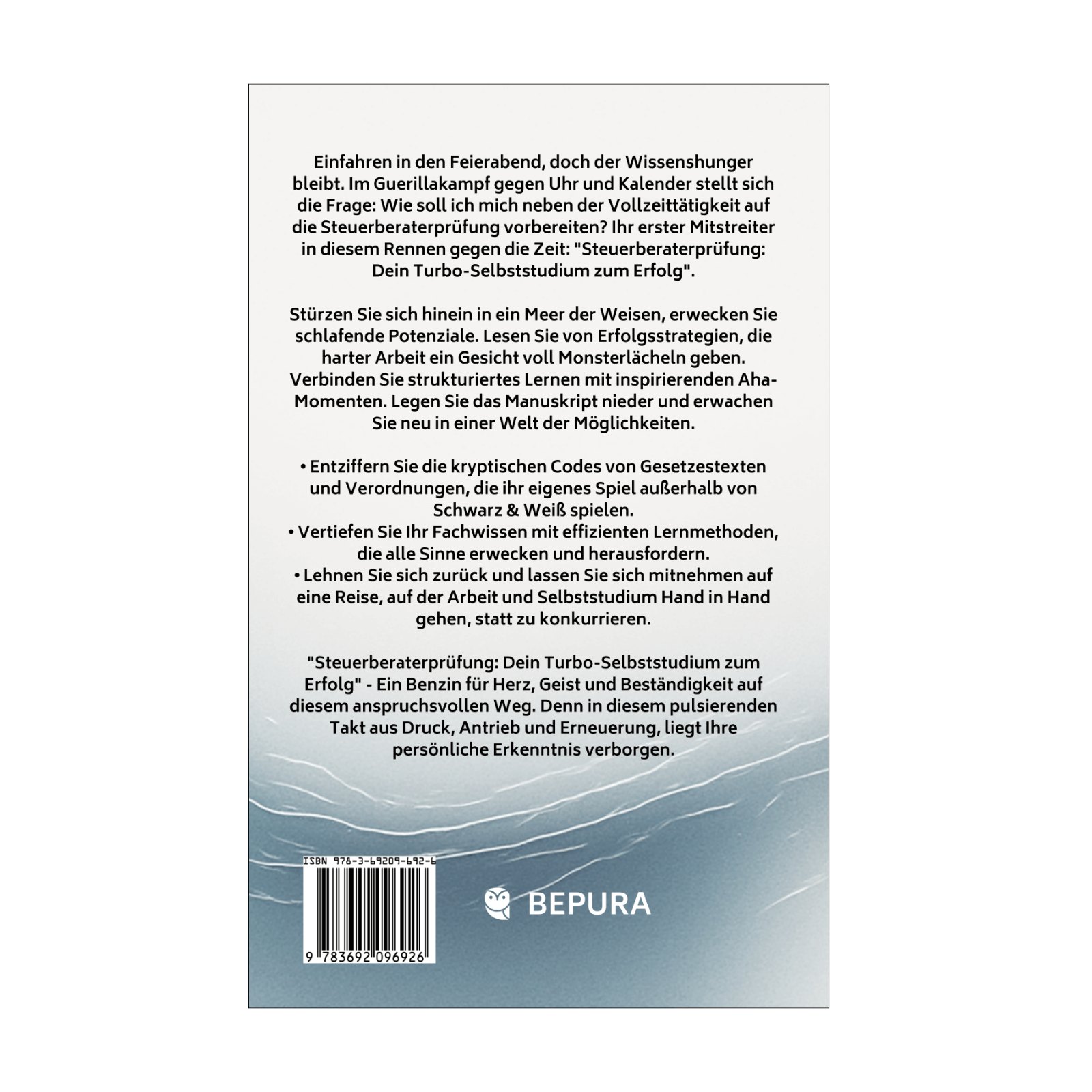 Steuerberaterprüfung - Dein Turbo-Selbststudium zum Erfolg || Praktische Wege und bewährte Strategien trotz Vollzeitjob 2 Steuerberaterprüfung Rückseite