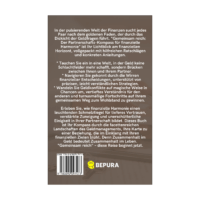 Gemeinsam reich Rückseite