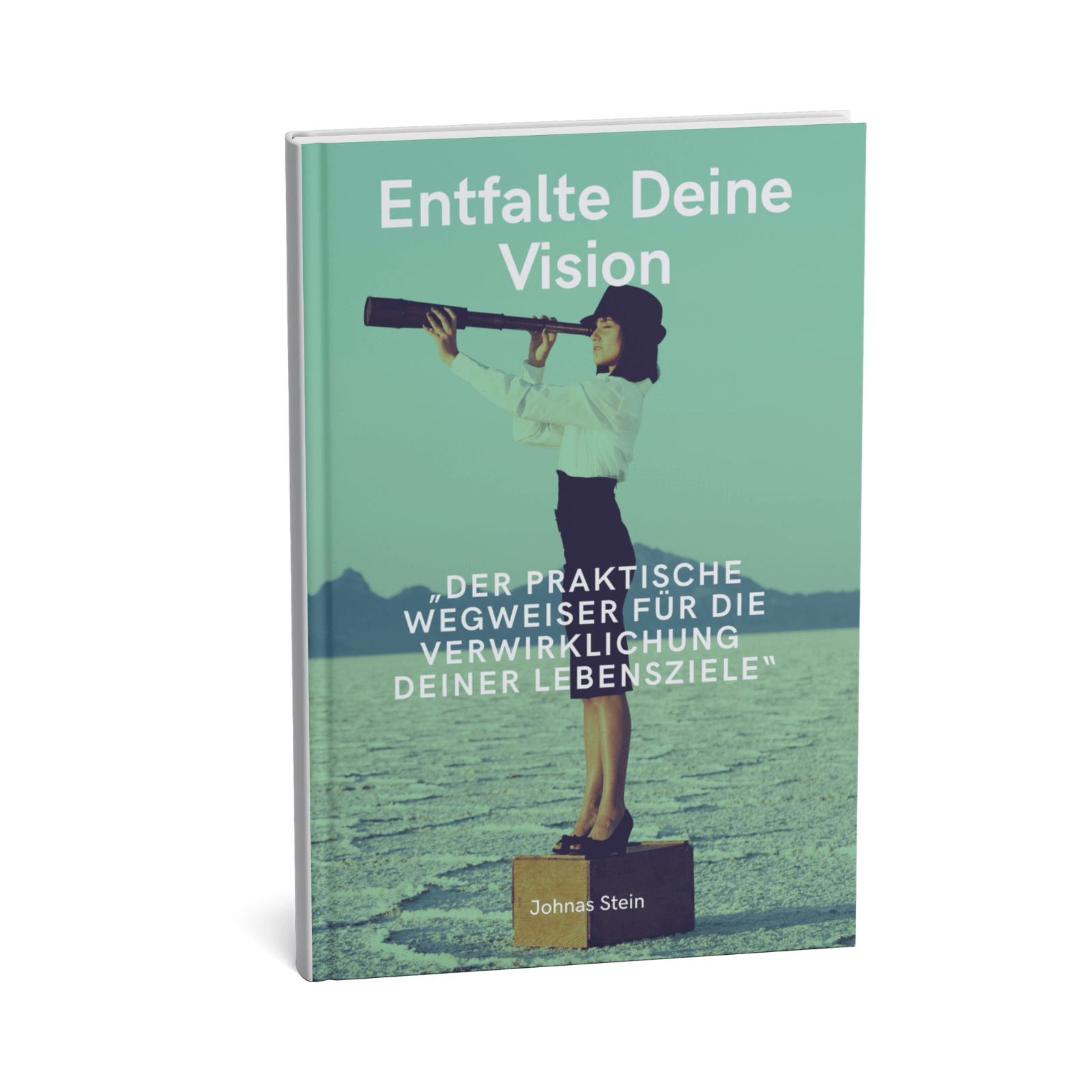 Entfalte Deine Vision - Der praktische Wegweiser für die Verwirklichung deiner Lebensziele 1 Entfalte deine Vision